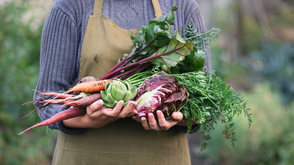 Woman holding organic vegetables